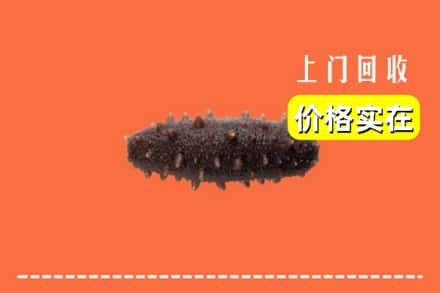 厦门市海沧回收海参