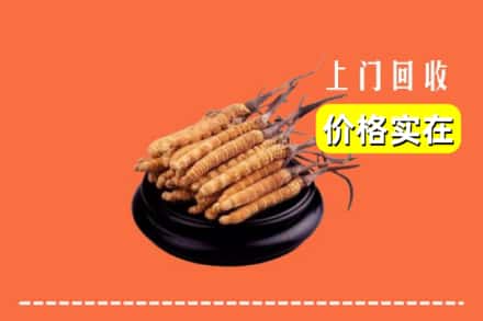 厦门市海沧回收冬虫夏草