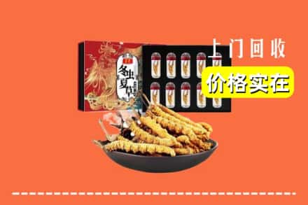 厦门市海沧回收虫草