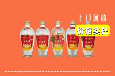 诚信求购:厦门市海沧高价回收老五粮液